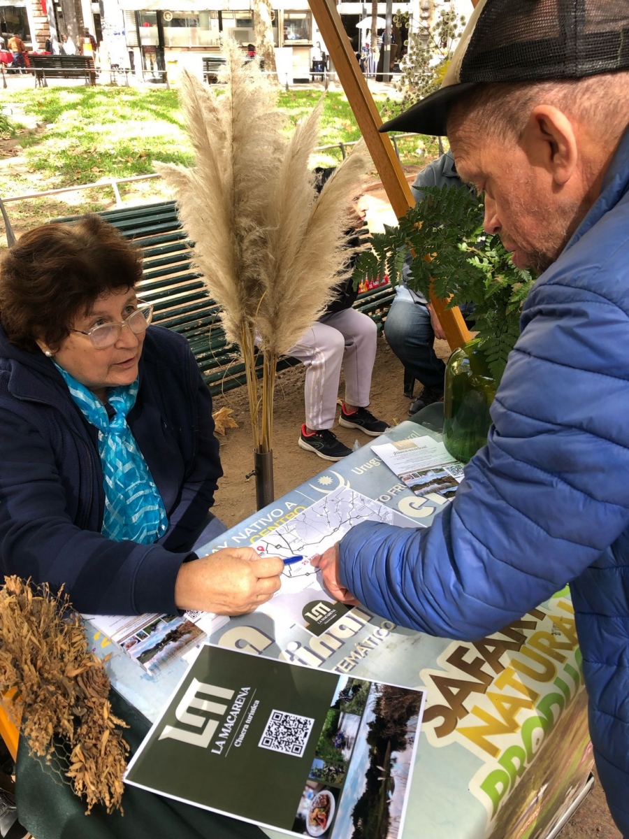 ATM_5_-_FERIA_SAFARI_b069a.jpeg