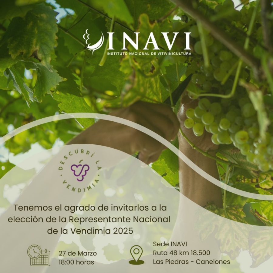 UVA_1_-_INAVI_ELECCION_REP_72cd3.jpeg