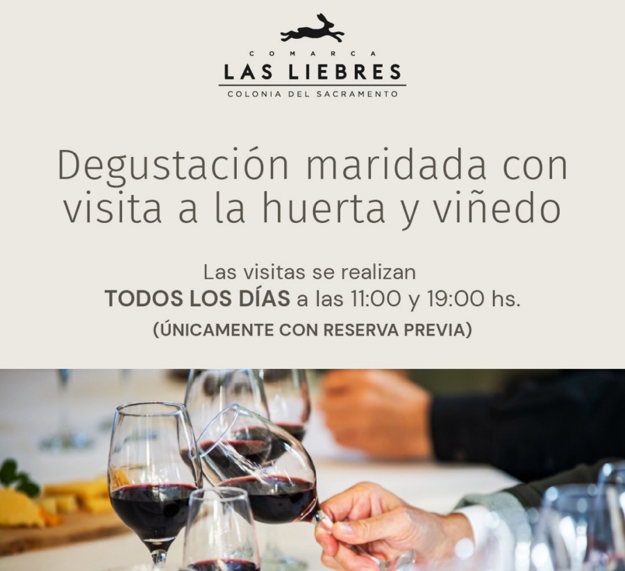 VENDIMIA_A_1_-_LAS_LIBRES_5_a_28.2_da52c.jpg
