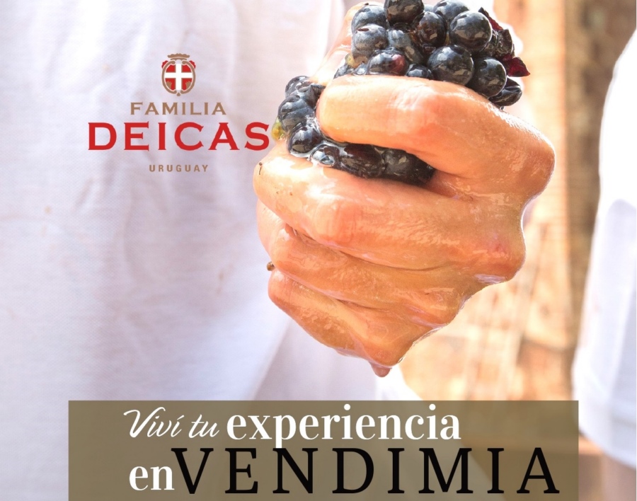 VENDIMIA_A_3_-_FLIA_DEICAS_8.2_7aa89.jpg
