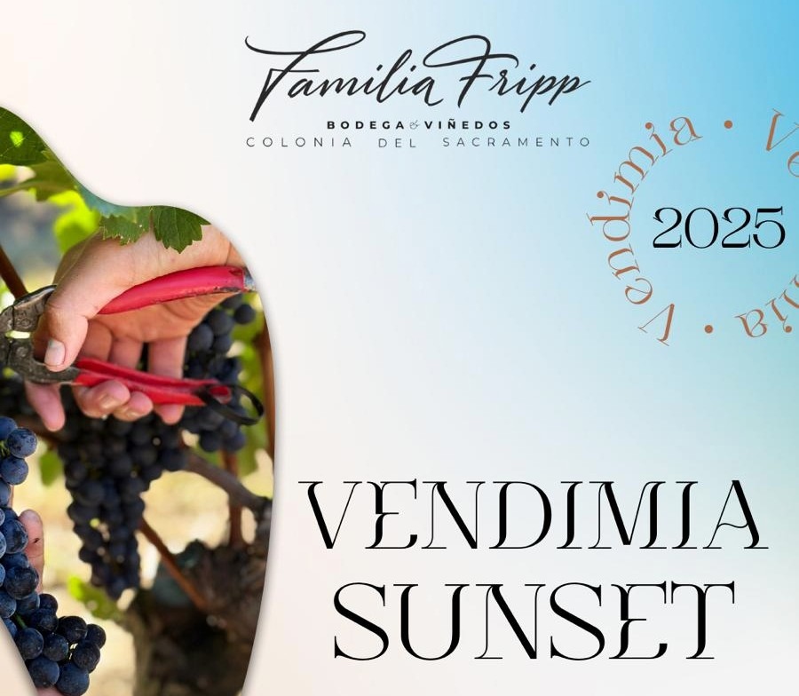 VENDIMIA_B_1_-_FRIPP_22.2_d6032.jpg