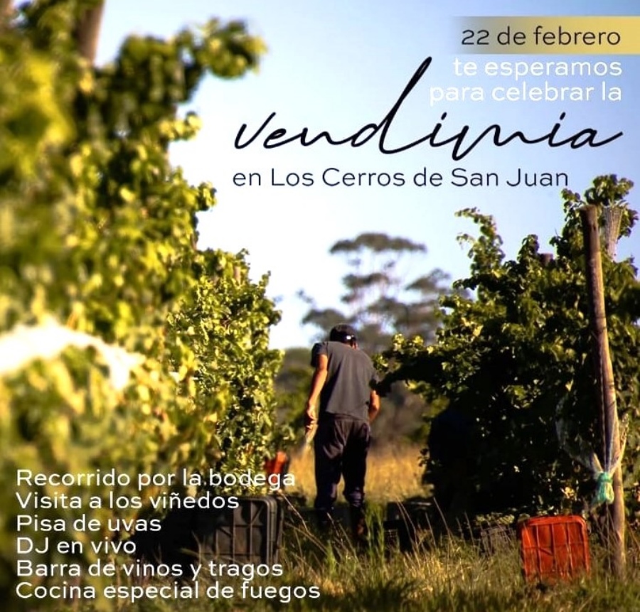 VENDIMIA_B_3_-_LOS_CERROS_22.12_69b3a.jpg