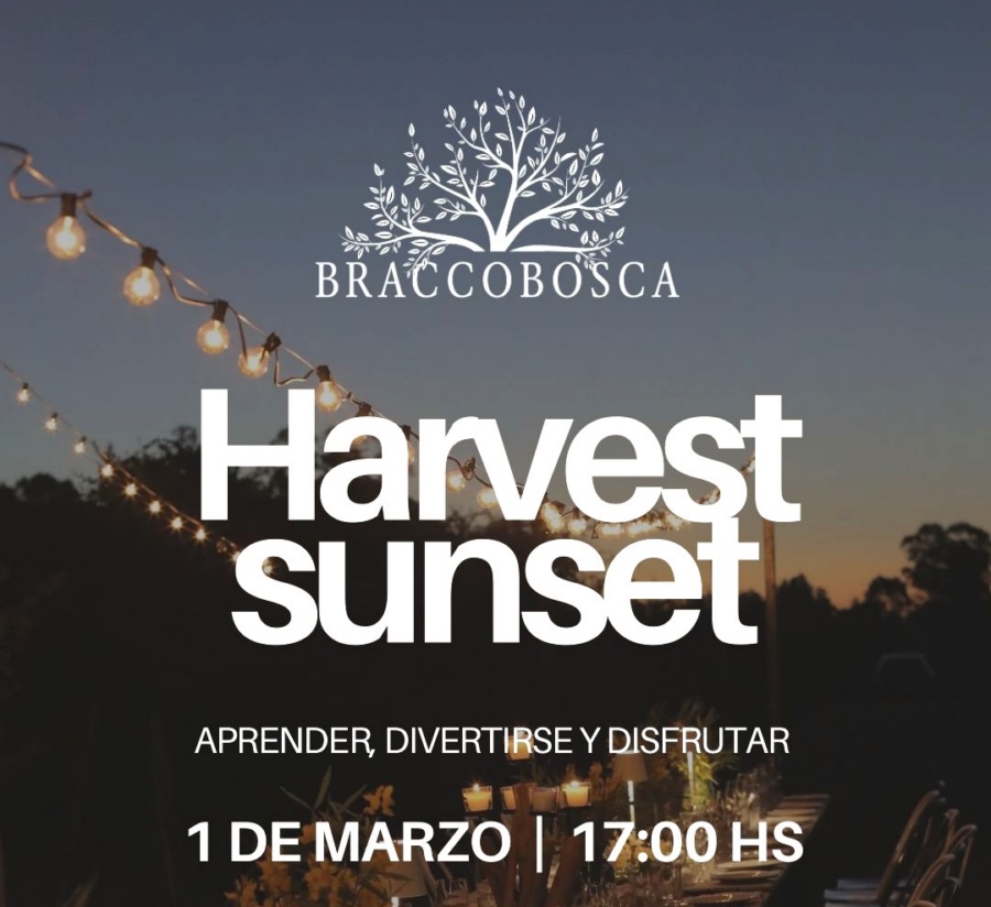 VENDIMIA_B_5_-_BRACCO_1.3_ce948.jpg