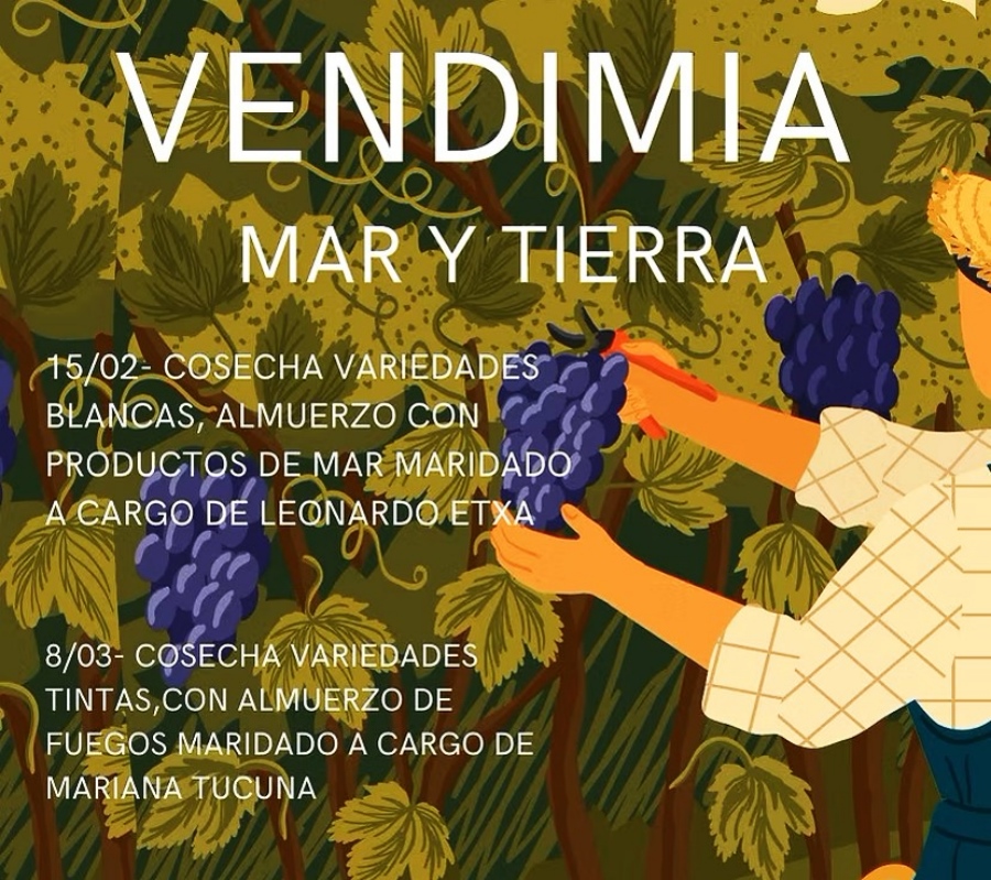 VENDIMIA_B_6_-_COFRADIA_MAR_Y_TIERRA_8.3_945be.jpg