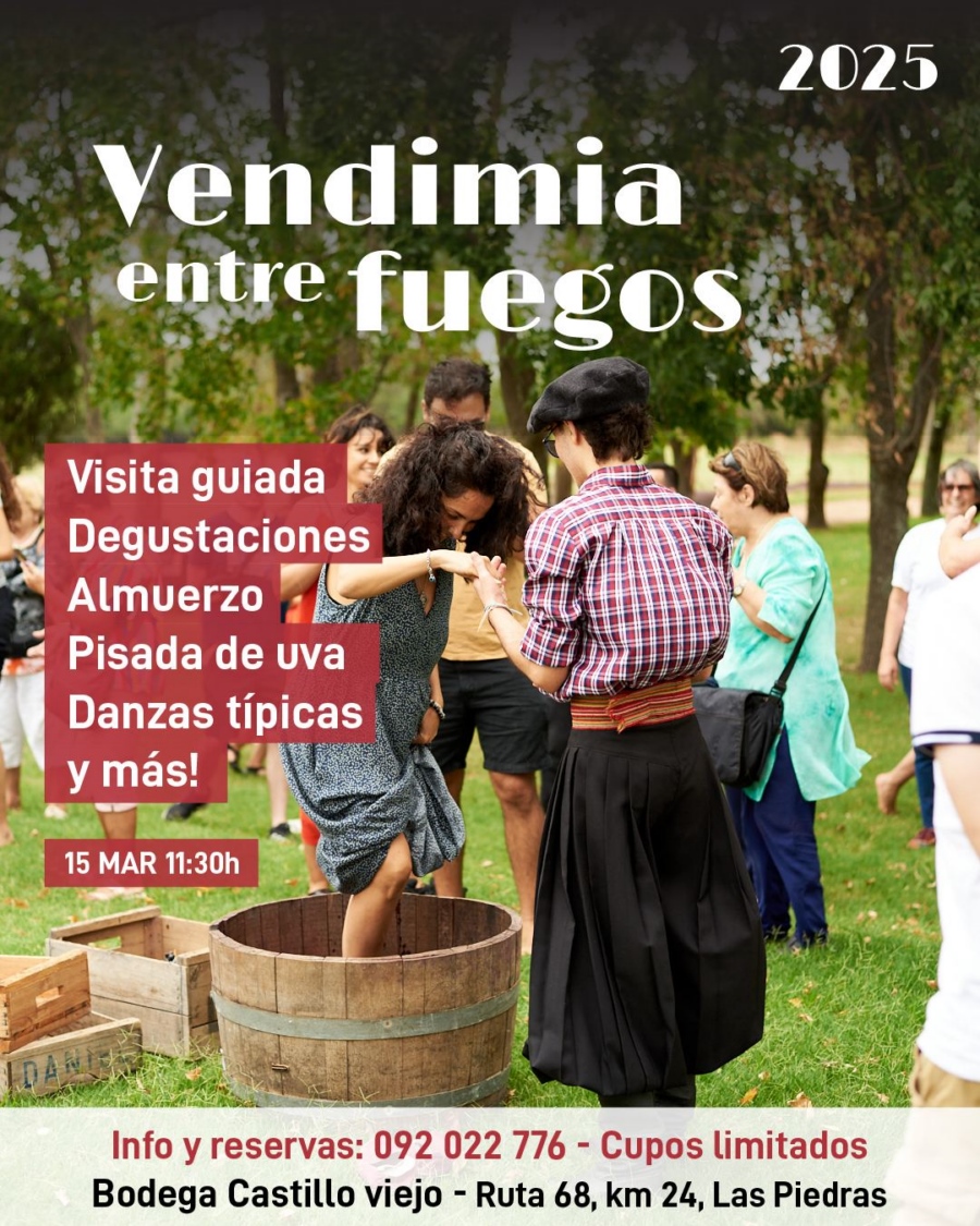 VENDIMIA_C_2_-_CASTILLO_VIEJO_B_70d5a.jpg