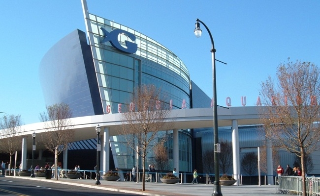 Visita al Acuario de Georgia en Atlanta