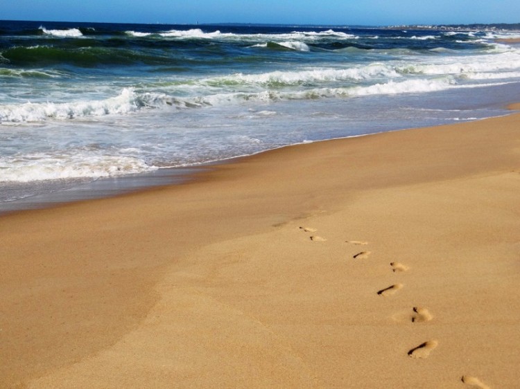 Rocha lanza su temporada de verano 2020 - 2021 apostando al turismo responsable