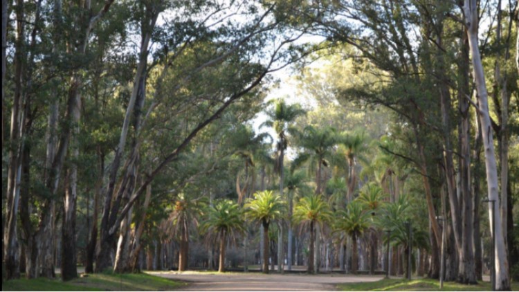 En setiembre el parque Roosevelt cumple 105 a&ntilde;os y celebra con actividades todo el mes