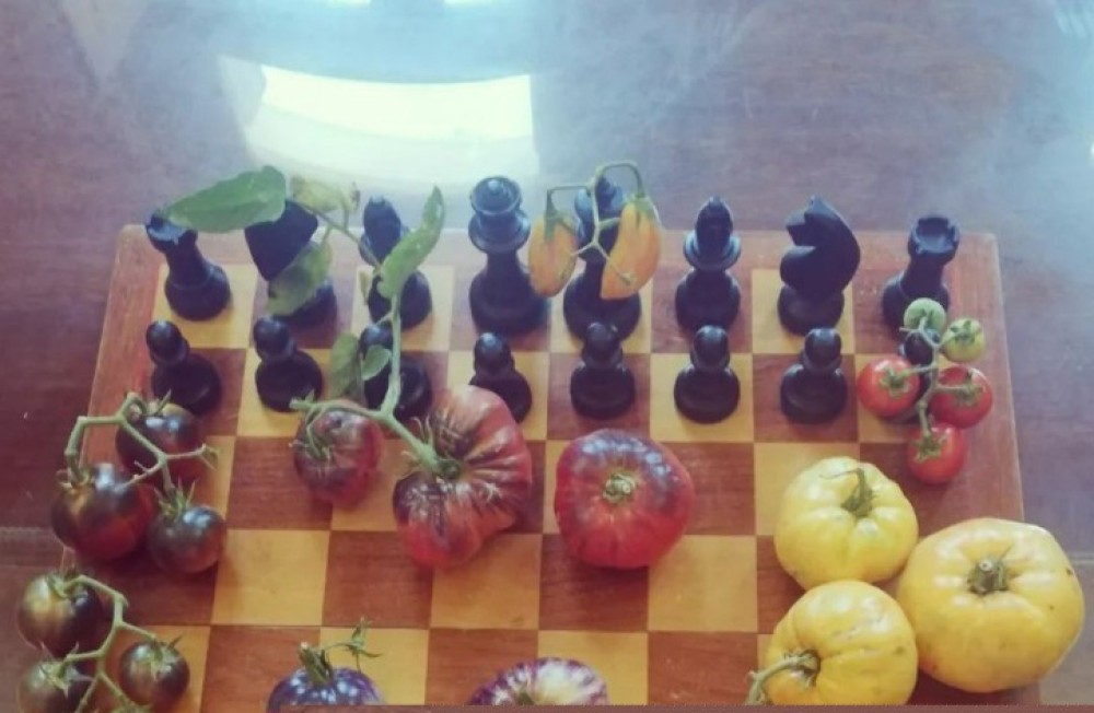  &iexcl;Jaque al Tomate!