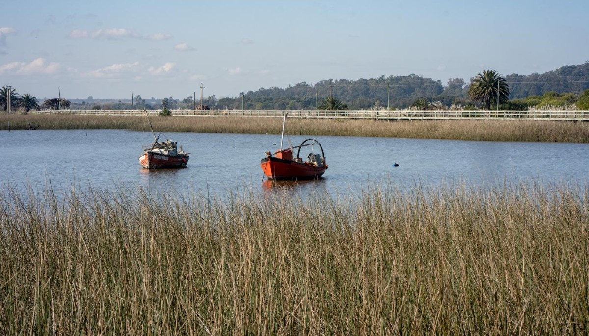 Segunda edici&oacute;n del Sello Montevideo m&aacute;s verde para el sector tur&iacute;stico