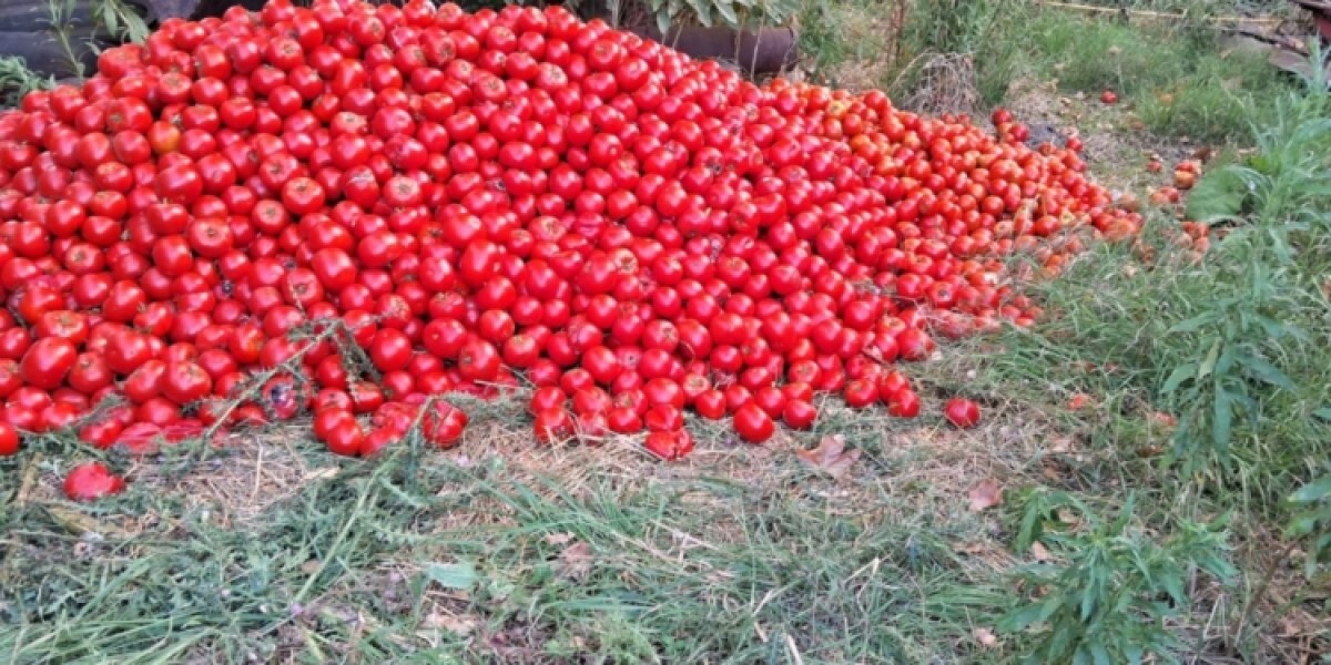 Tomates y Turismo: C&oacute;mo Convertir Excedentes en Oportunidades &Uacute;nicas