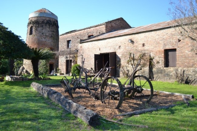 Col&oacute;n y su regi&oacute;n de los palmares atravesada por la historia de los primeros inmigrantes