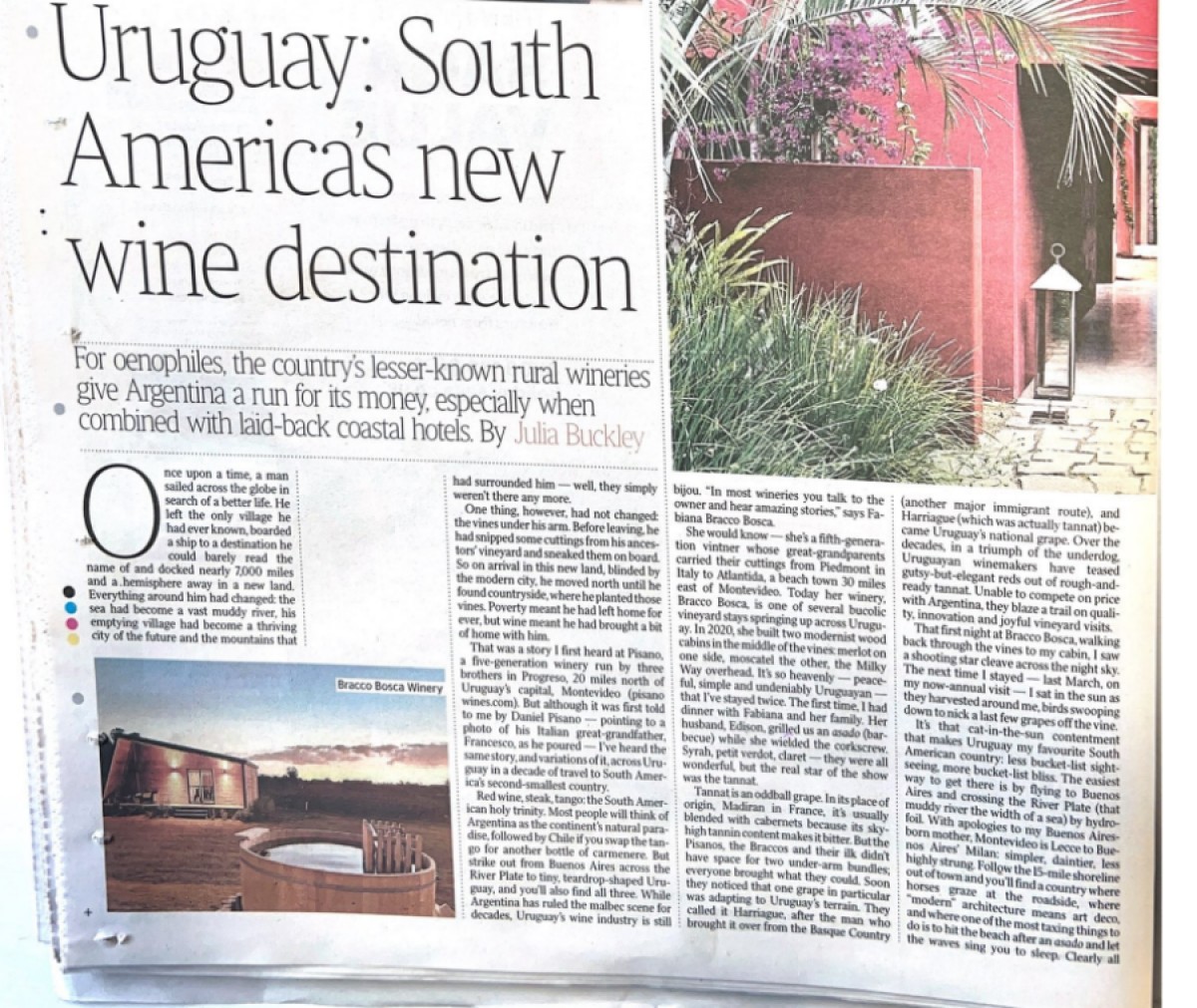 Uruguay: Un nuevo referente del vino en Sudam&eacute;rica seg&uacute;n The Times