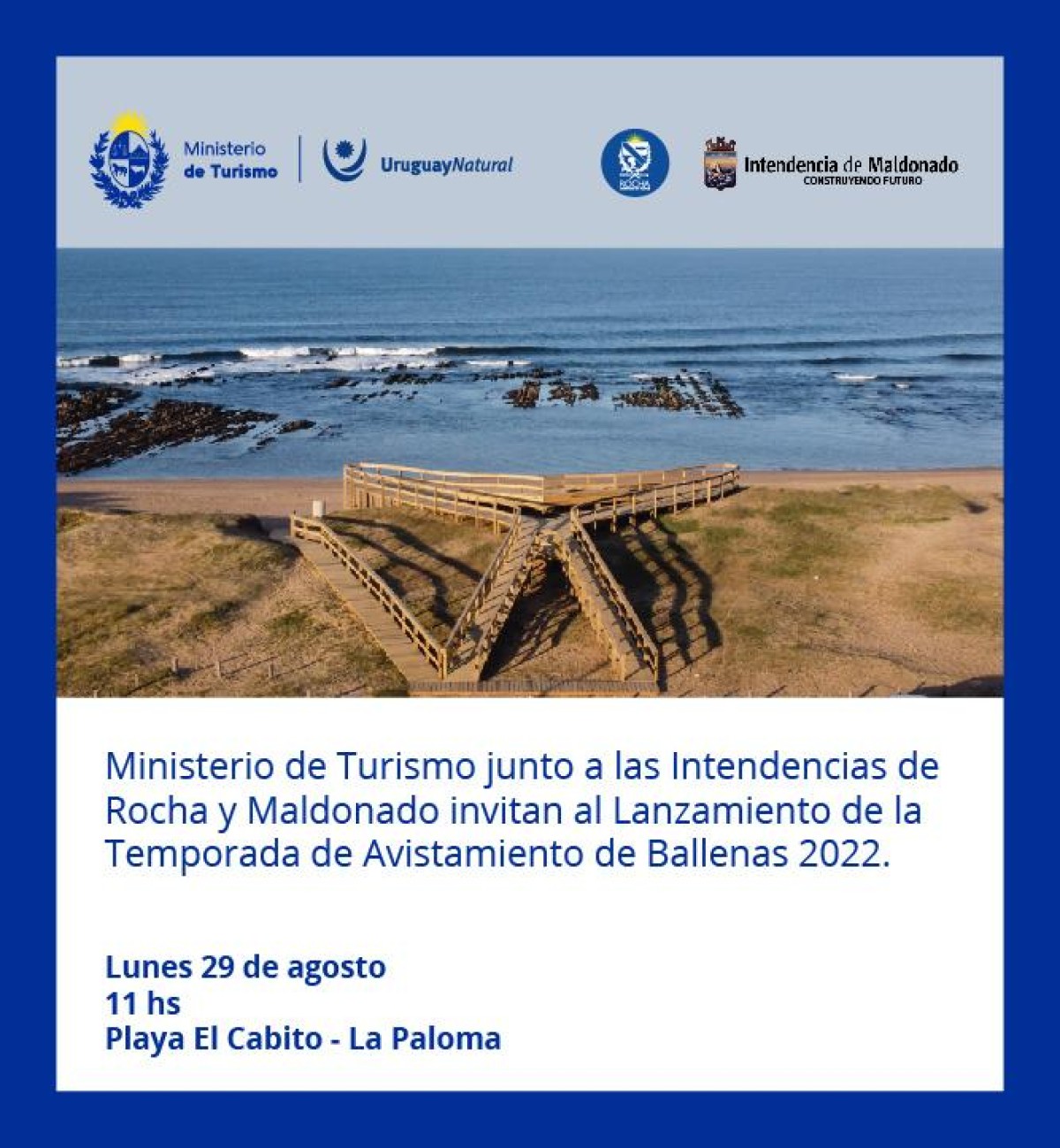 El lanzamiento de la Temporada de Ballenas es el 29 de agosto