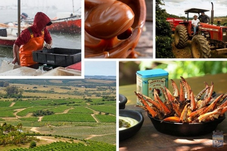 Ministerio de Turismo apoya el &ldquo;Gran Premio Sir&iacute; 2021&rdquo; de Cuisine&amp;Vins