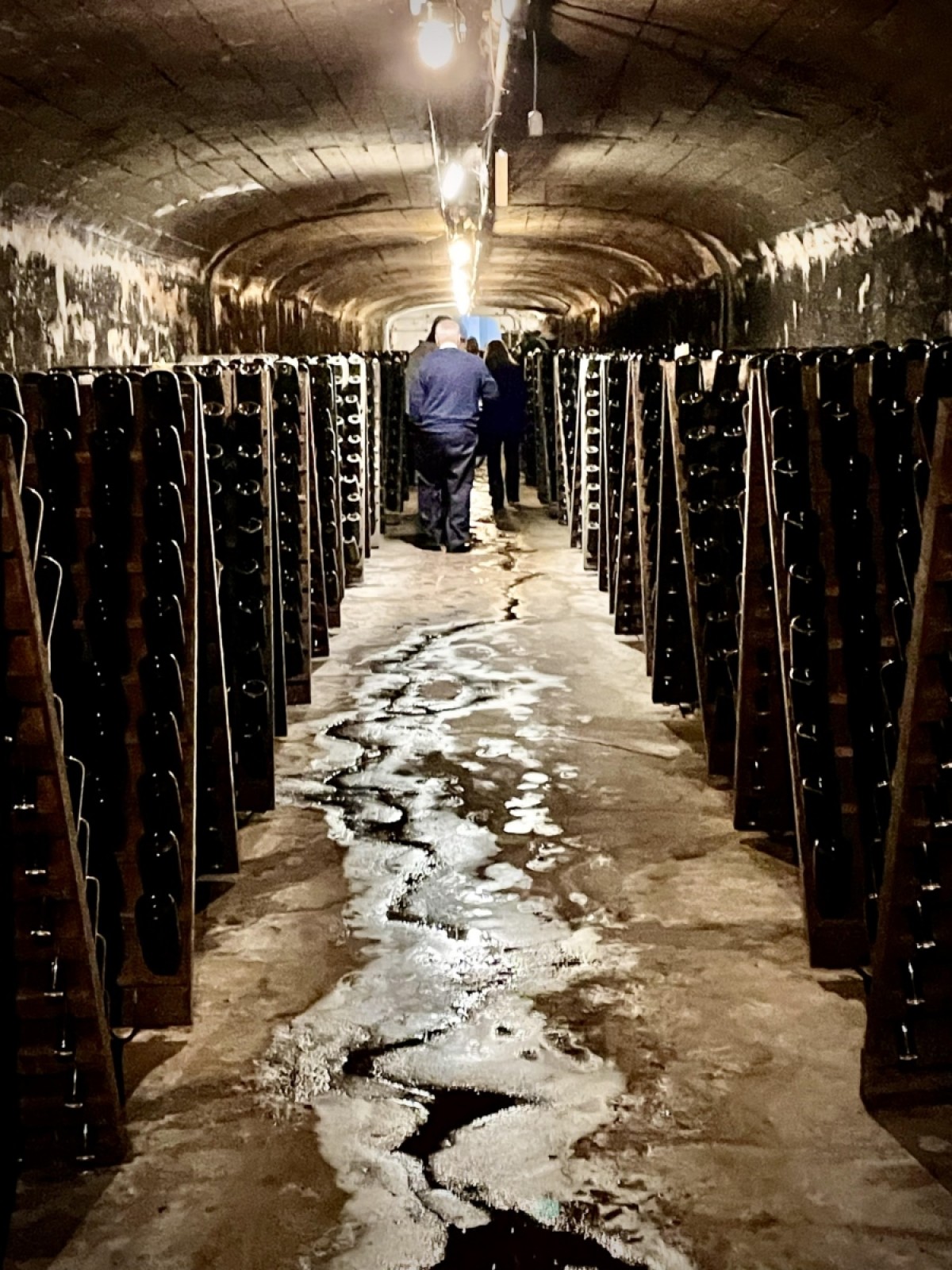 Cava Santa Rosa. En 1898 la uva elaborada era de 4.300 kilos, en 1938 ascend&iacute;a a 1.839.051 kilos. La Bodega posee la cava operativa m&aacute;s grande del continente sudamericano.