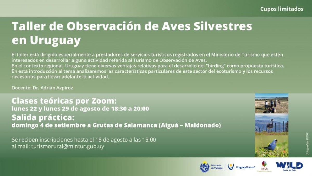Taller de observaci&oacute;n de aves silvestres en Uruguay