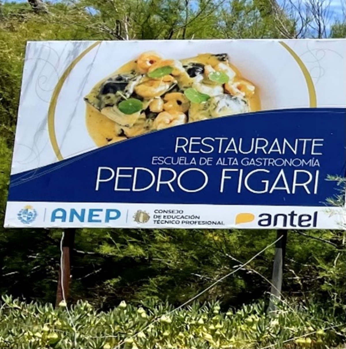 Parador Figari - profesores que se ocupan de la gesti&oacute;n y docentes referentes que ense&ntilde;an la pr&aacute;ctica final a los alumnos que trabajan por adquirir experiencia. (Foto de autora, 2021)