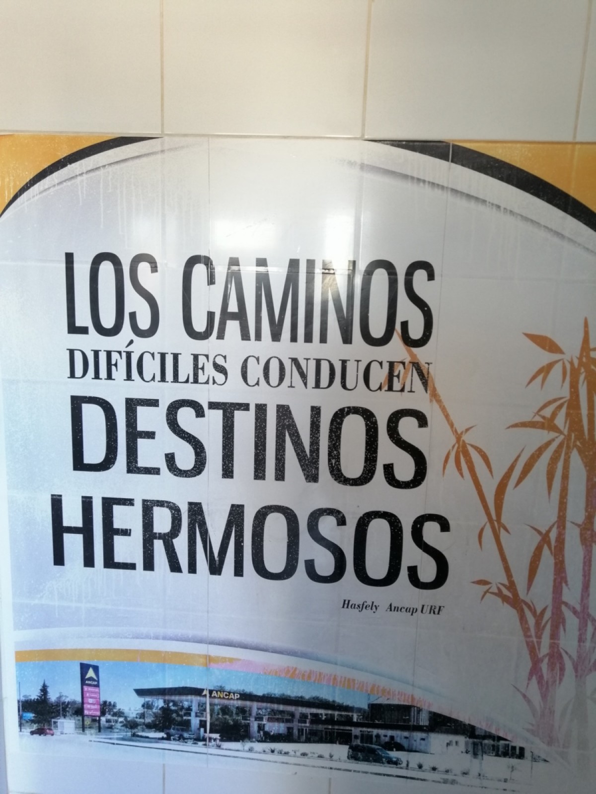 &iquest;Te animas a contar lo que otros solo viven?