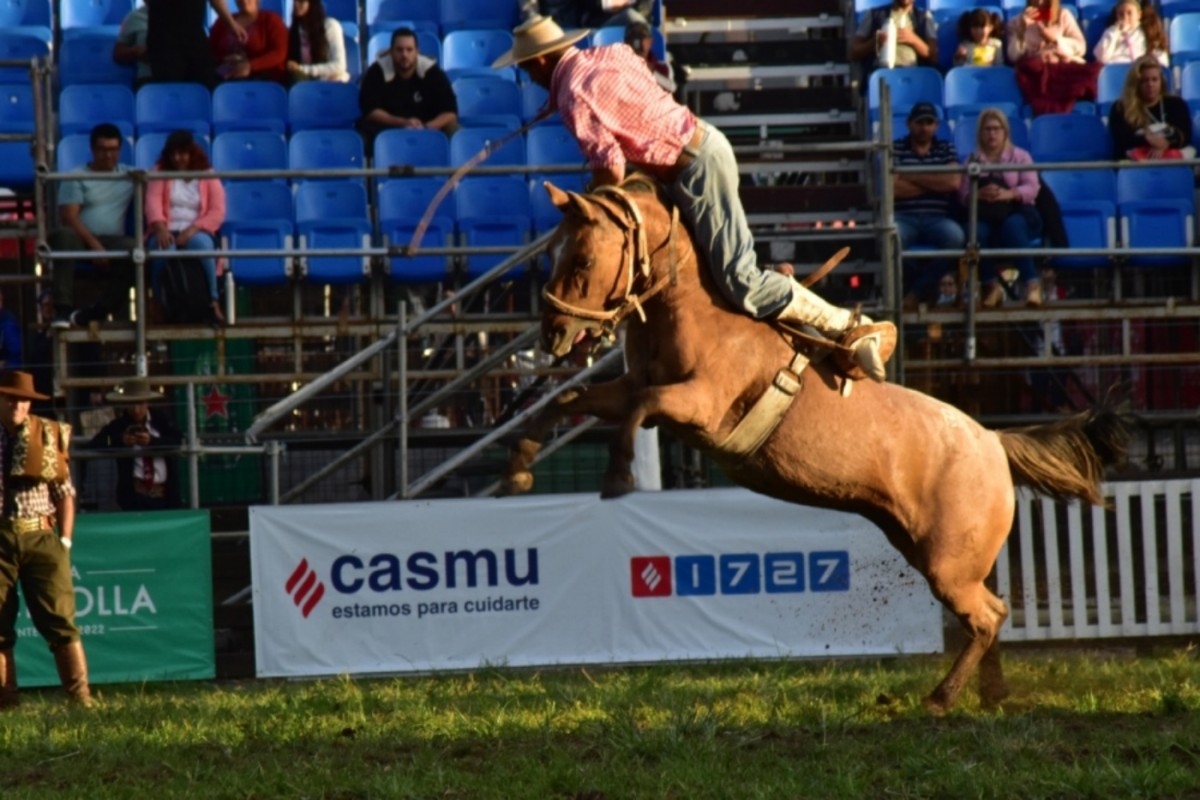 Semana de Turismo 2024 con un sinf&iacute;n de actividades