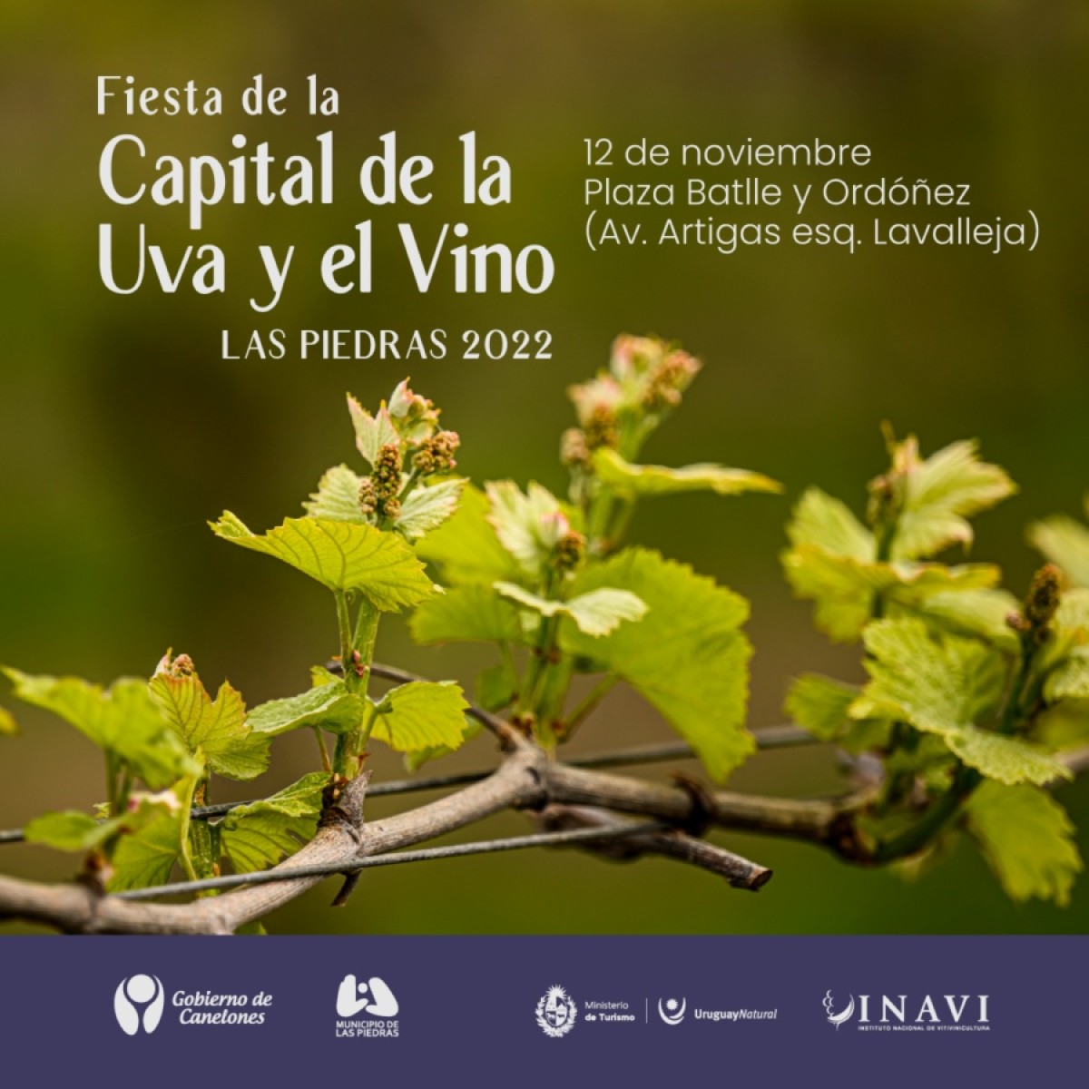 La primera Fiesta de la Capital de la Uva y el Vino es el s&aacute;bado 12