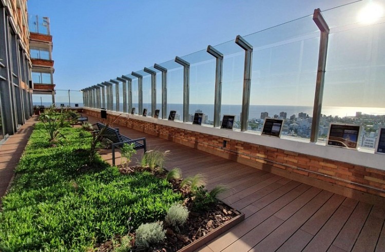 Mirador verde
