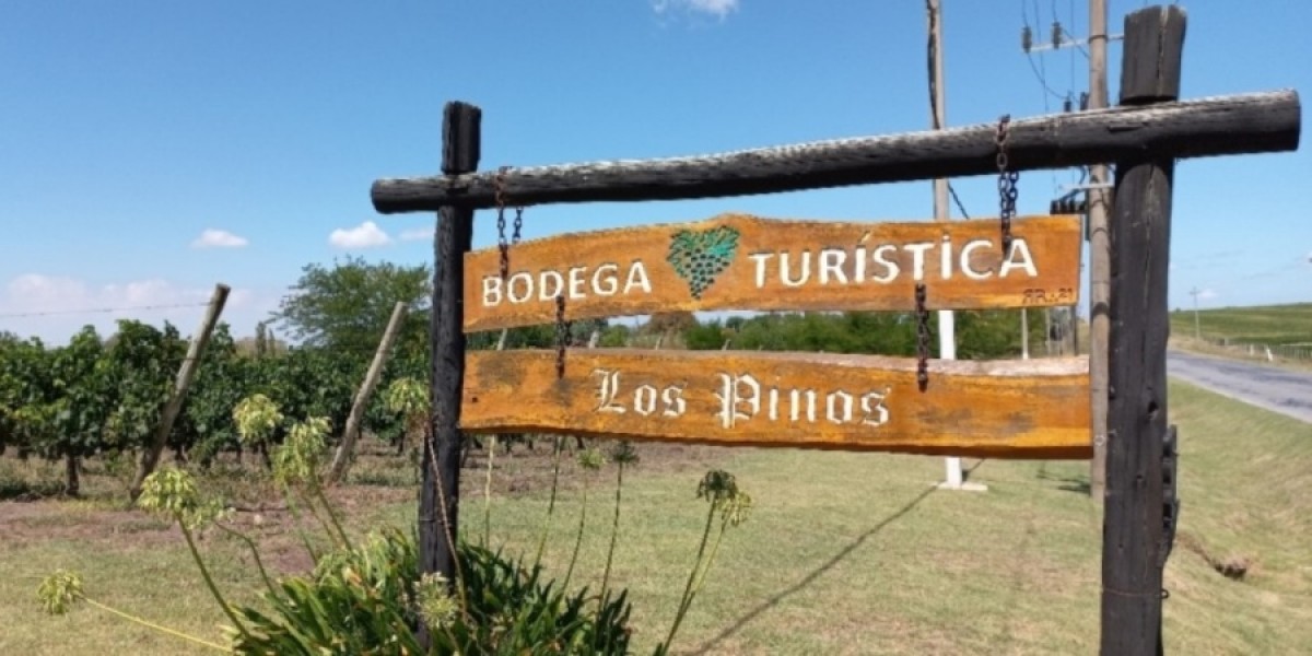 Primera experiencia inclusiva en la Bodega Tur&iacute;stica Los Pinos